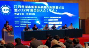 开云手机站官方端网站登录入口_开云（中国）受邀参加江西省城市照明高质量发展高峰论坛